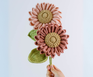 Crochet Sunflower Melon Seed